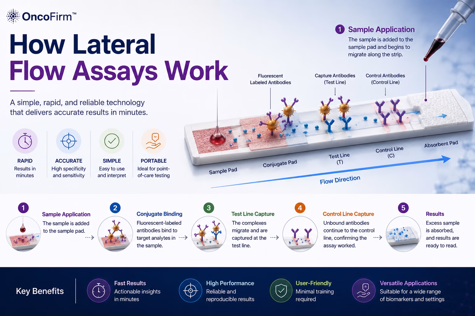 How Lateral Flow Assays Work